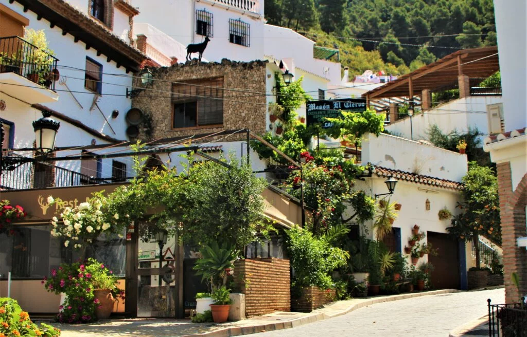 Alcaucín